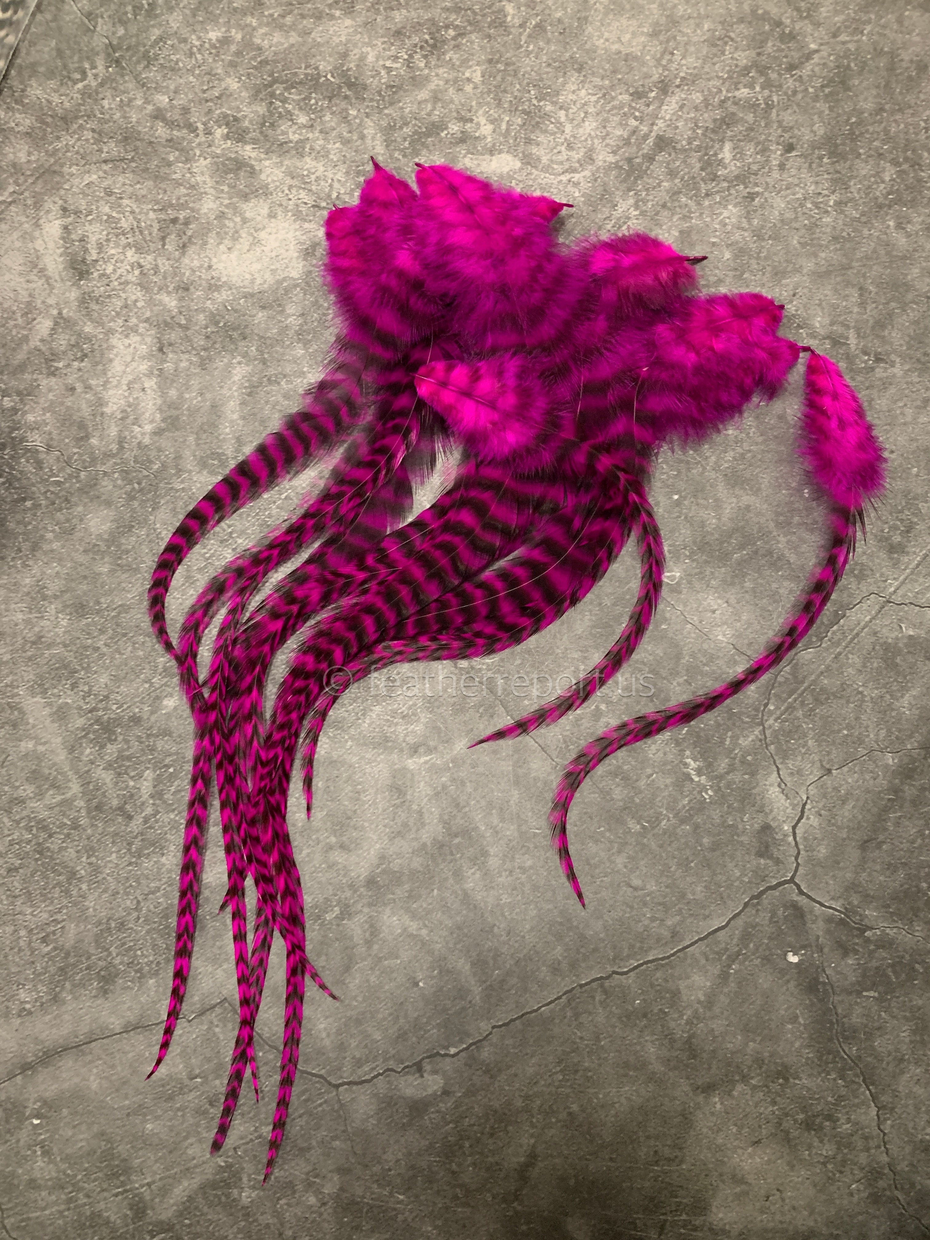 vivid pink grizzly rooster feathers long fluffy craft feathers x15