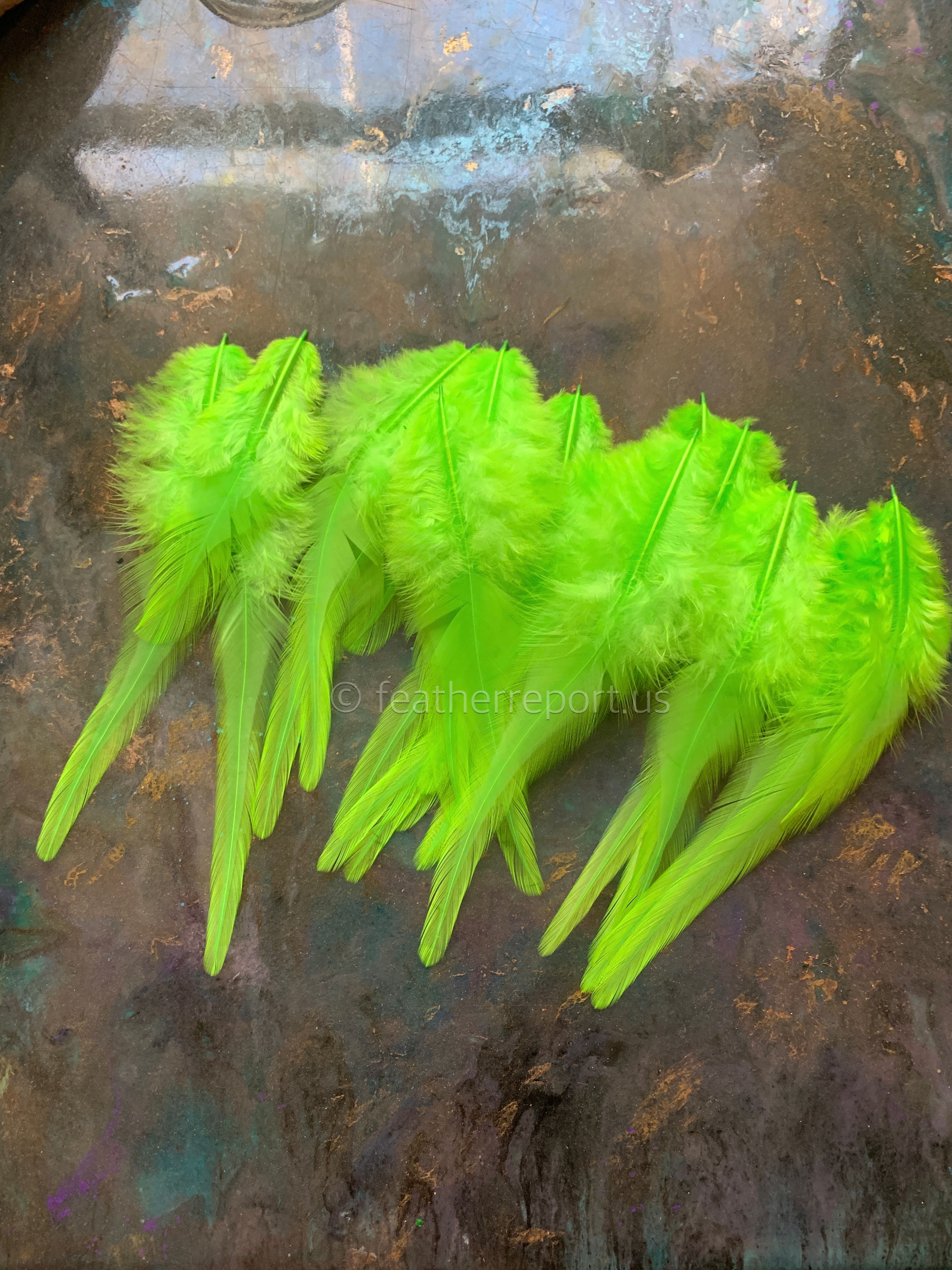 Solid Kelly Green Rooster Craft Feathers 25 Pack