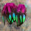 Thumbnail: Laced hen saddle Feathers rainbow dyed orchid blue green ombre craft feathers