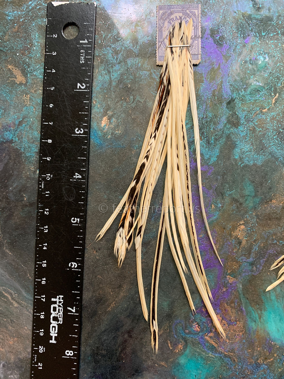 Thumbnail: Short White Ginger Rooster Variants 20 Hackle Feathers, 4to7inch
