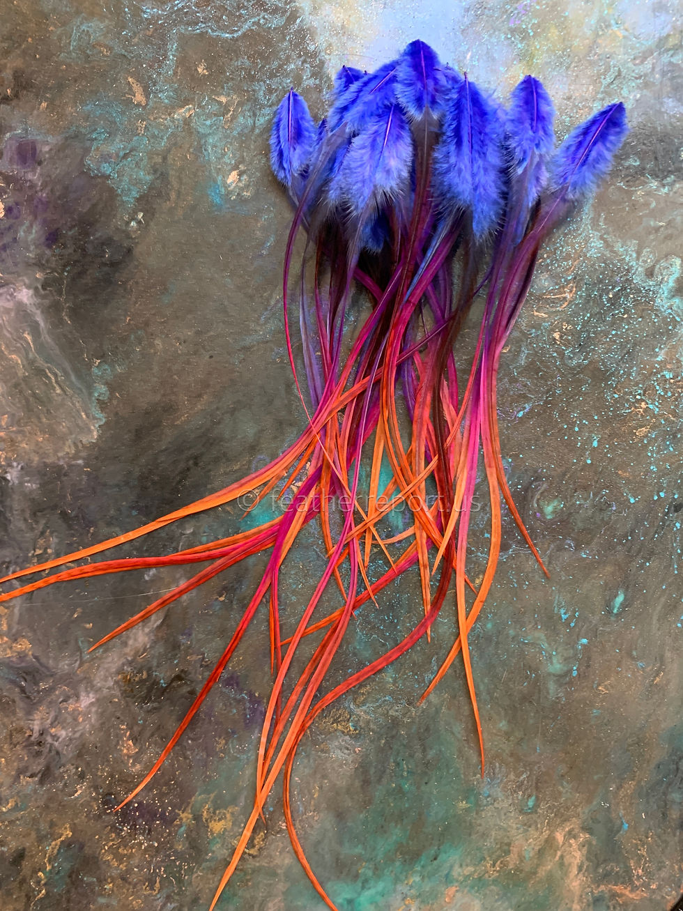 Thumbnail: Long Rooster Extensions or Craft Feathers Violet Blue Magenta Orange 15 pc