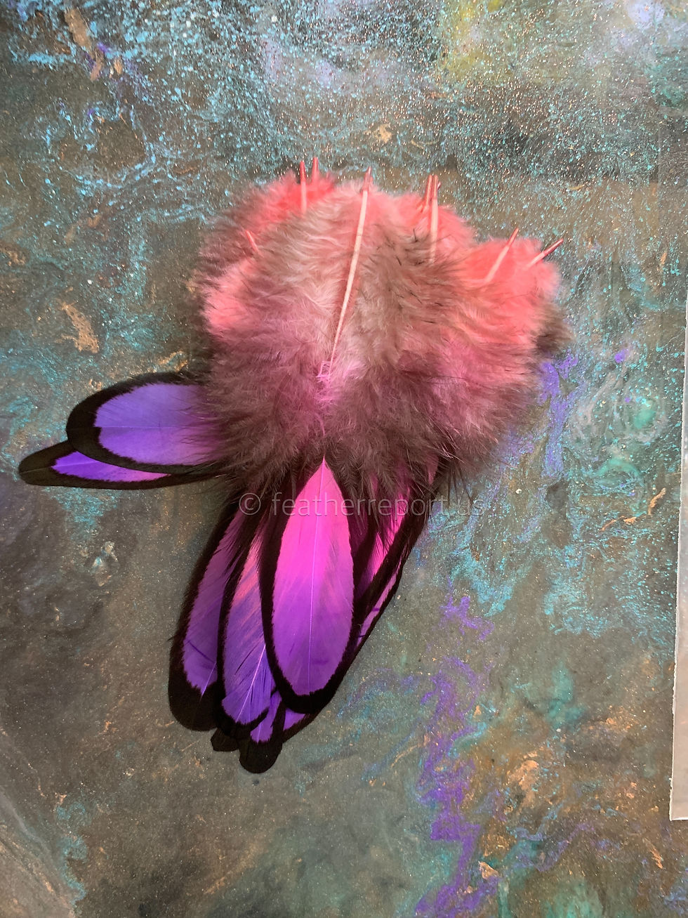 Thumbnail: Oval Hen Craft Feathers Ombre Light Red Pink Purple Eare Size