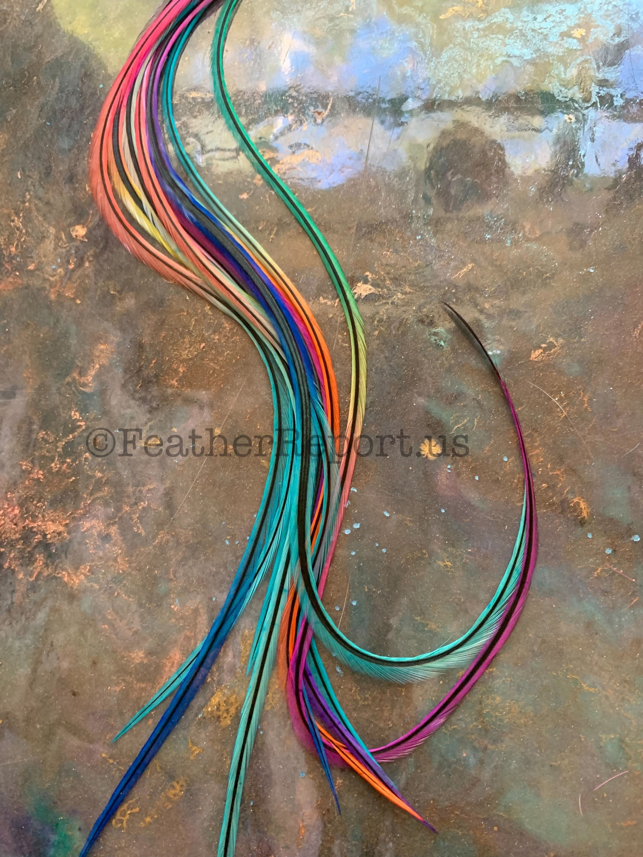 Rainbow Hair Feathers Extensions Badger Vertical Pin Stripe Rooster Feathers x10