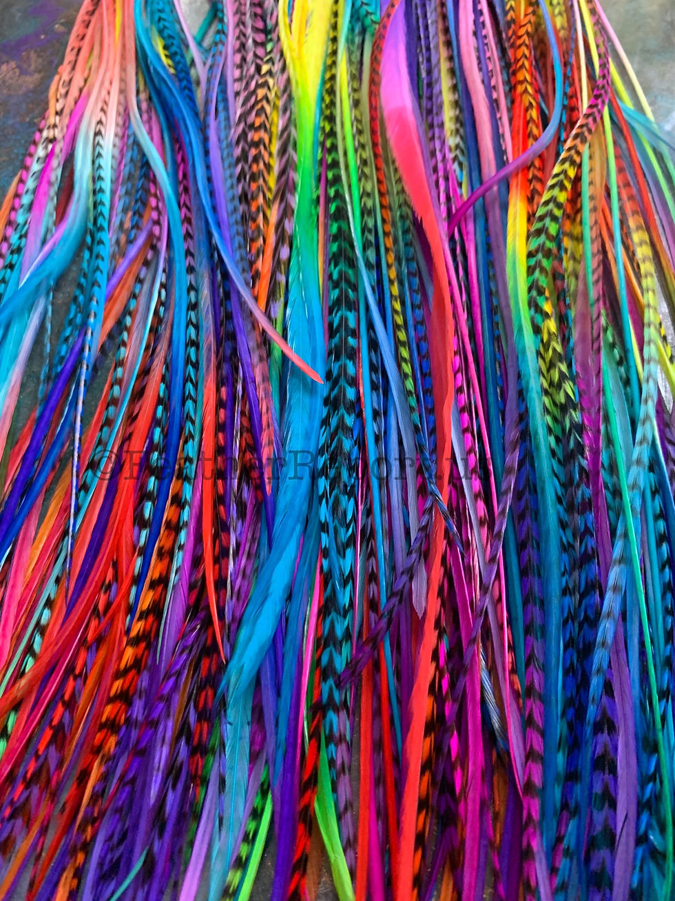 Thumbnail: Extra Long Hair Feathers 14to17inch Boho Feather Extensions Ombre & Rainbow