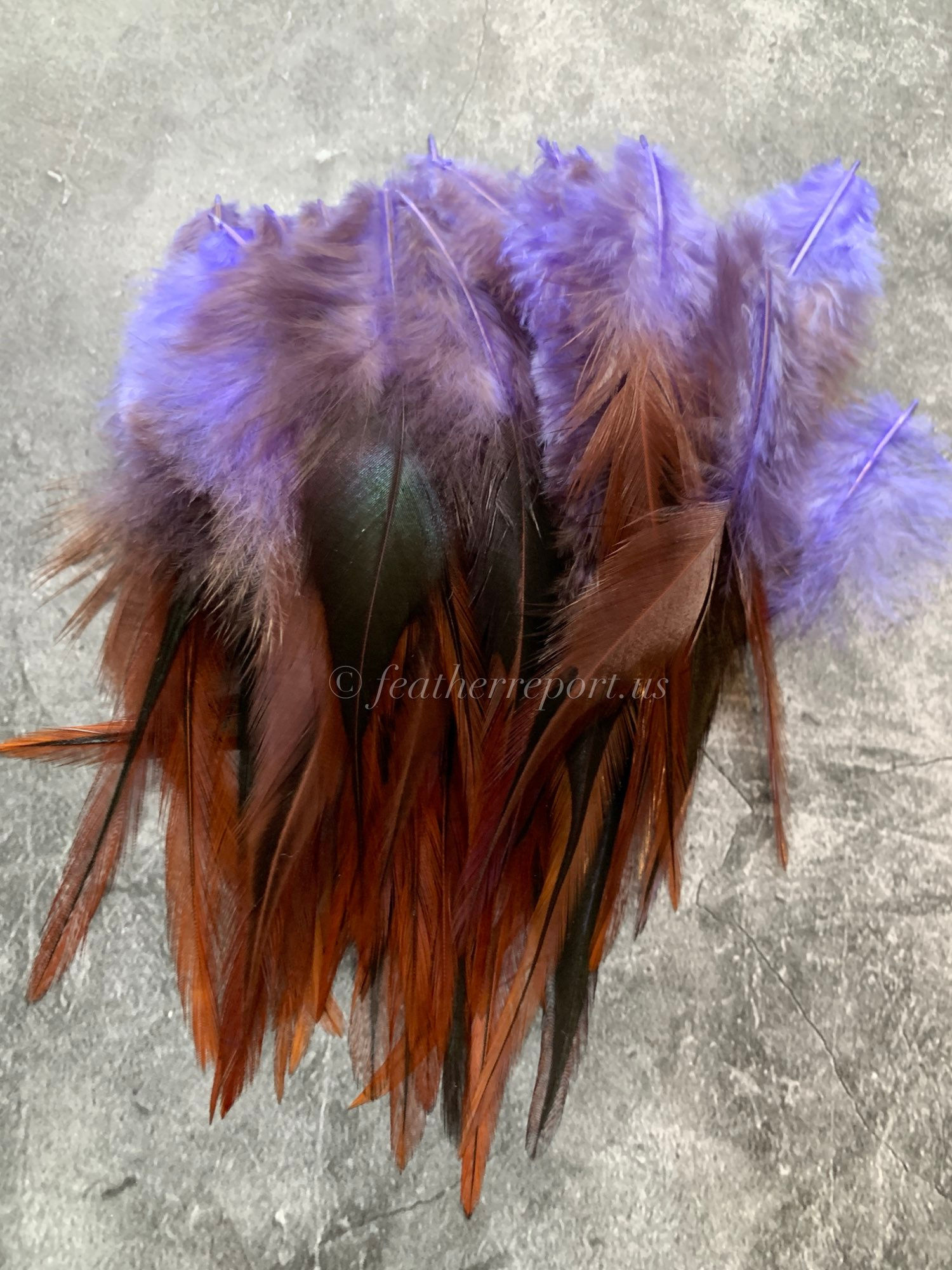 rooster feathers for crafts short purple iris over furnace brown
