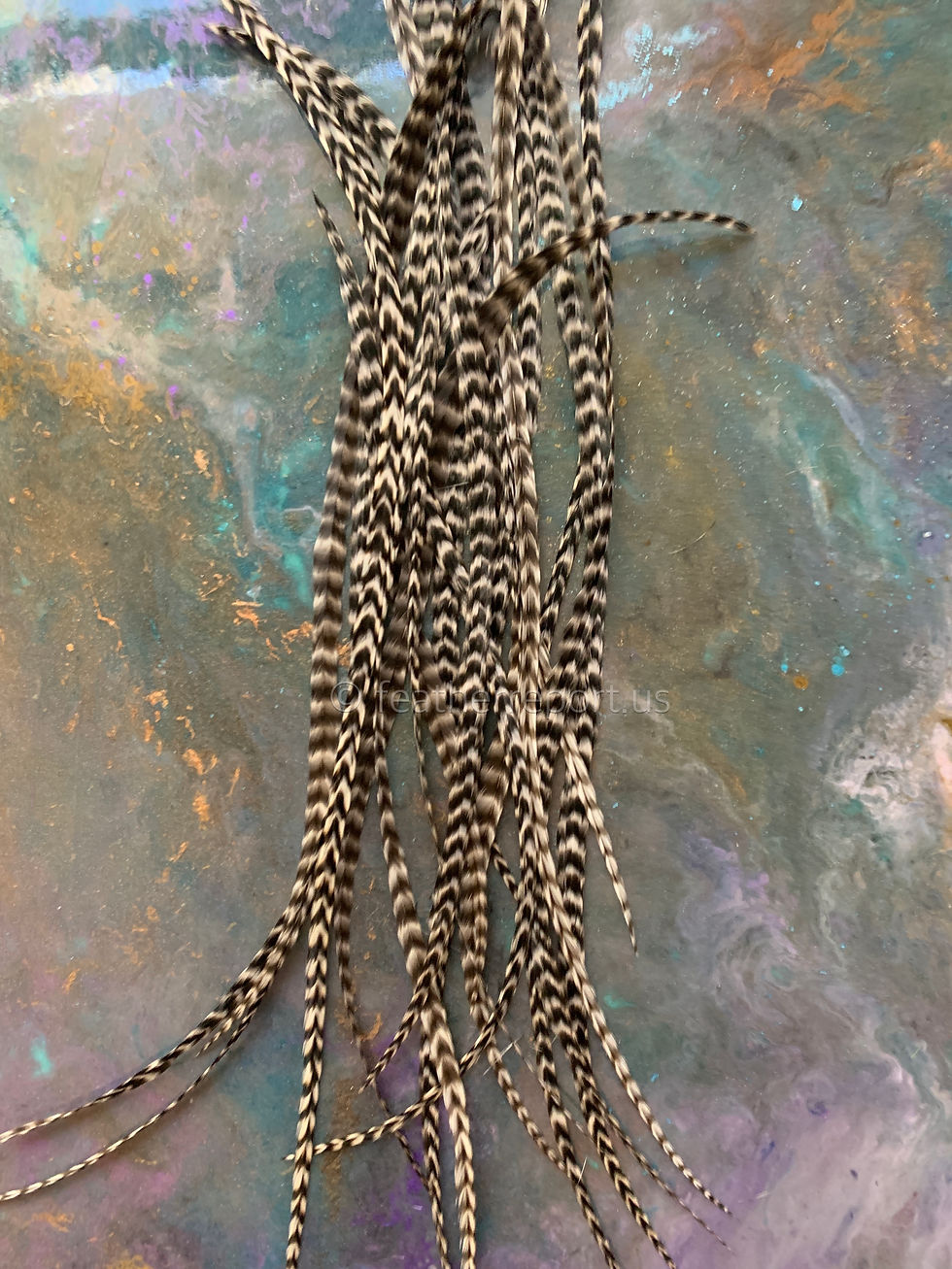 Thumbnail: Wide Grizzly No Fluff Feathers for Hair Crafts x 18 Natural Rooster