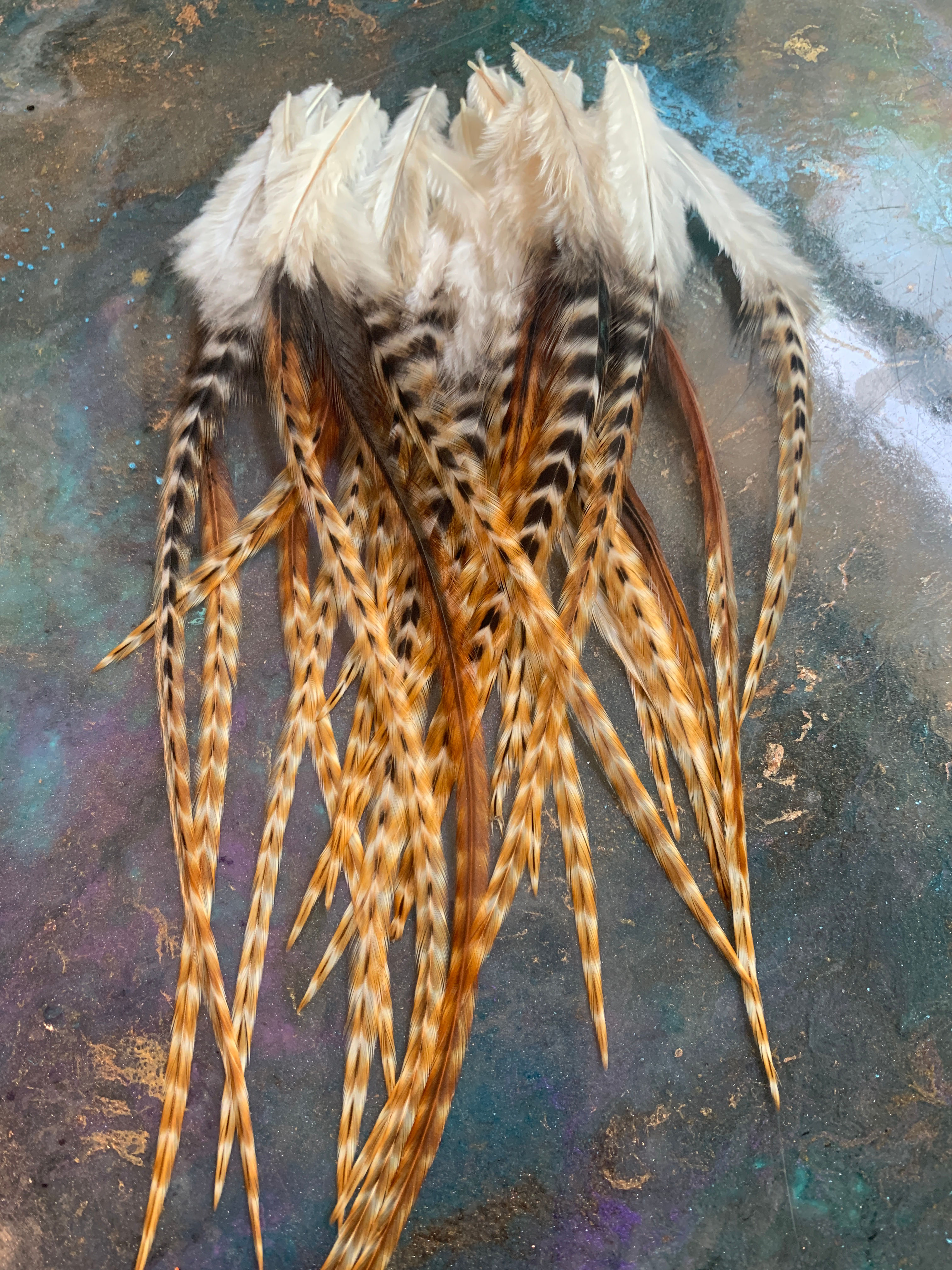 Barred Ginger Rooster Feathers for Crafts Earring Making Biker Tassles etc