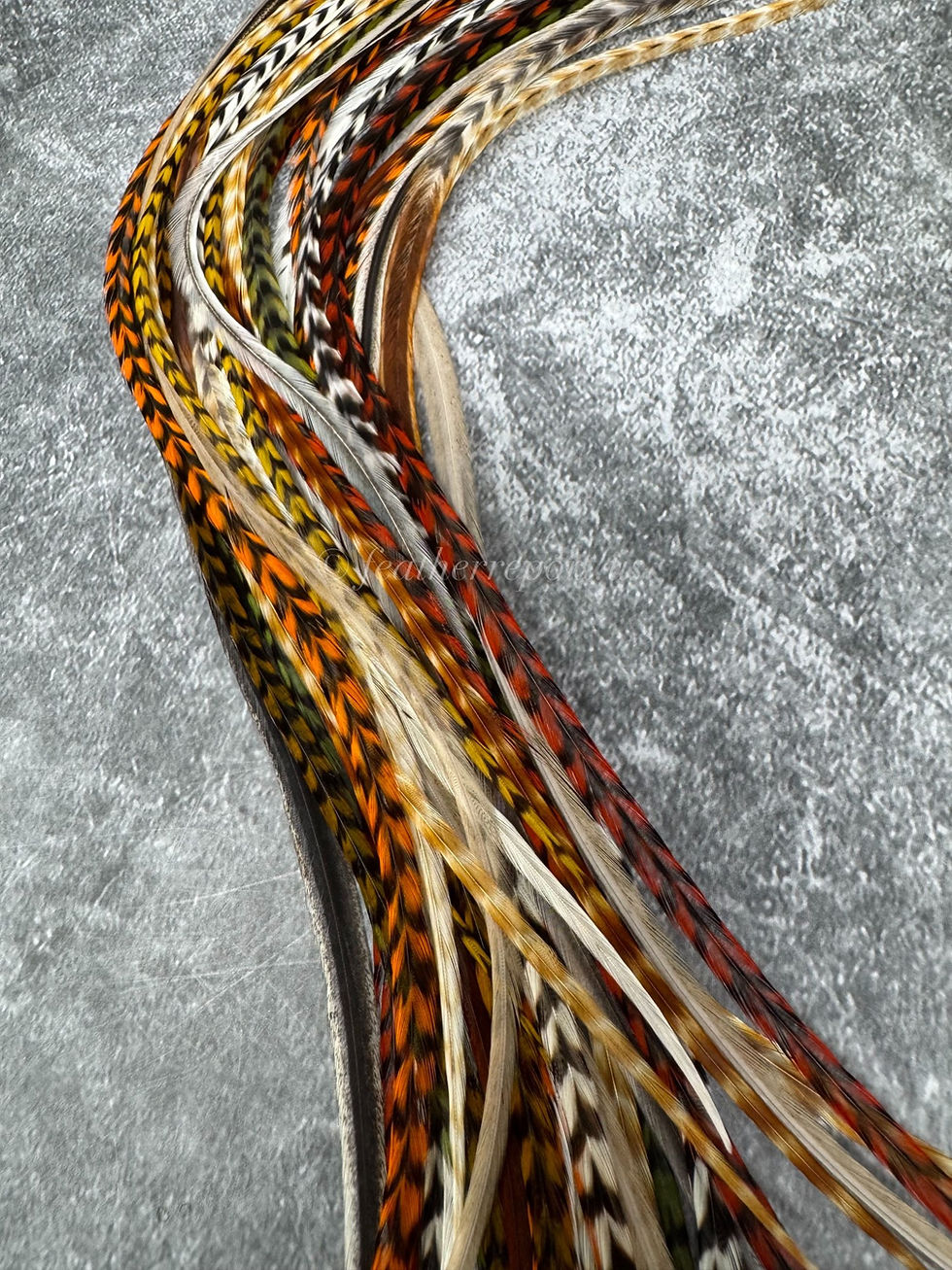 extra long natural mix 11 xxl real rooster feather extensions