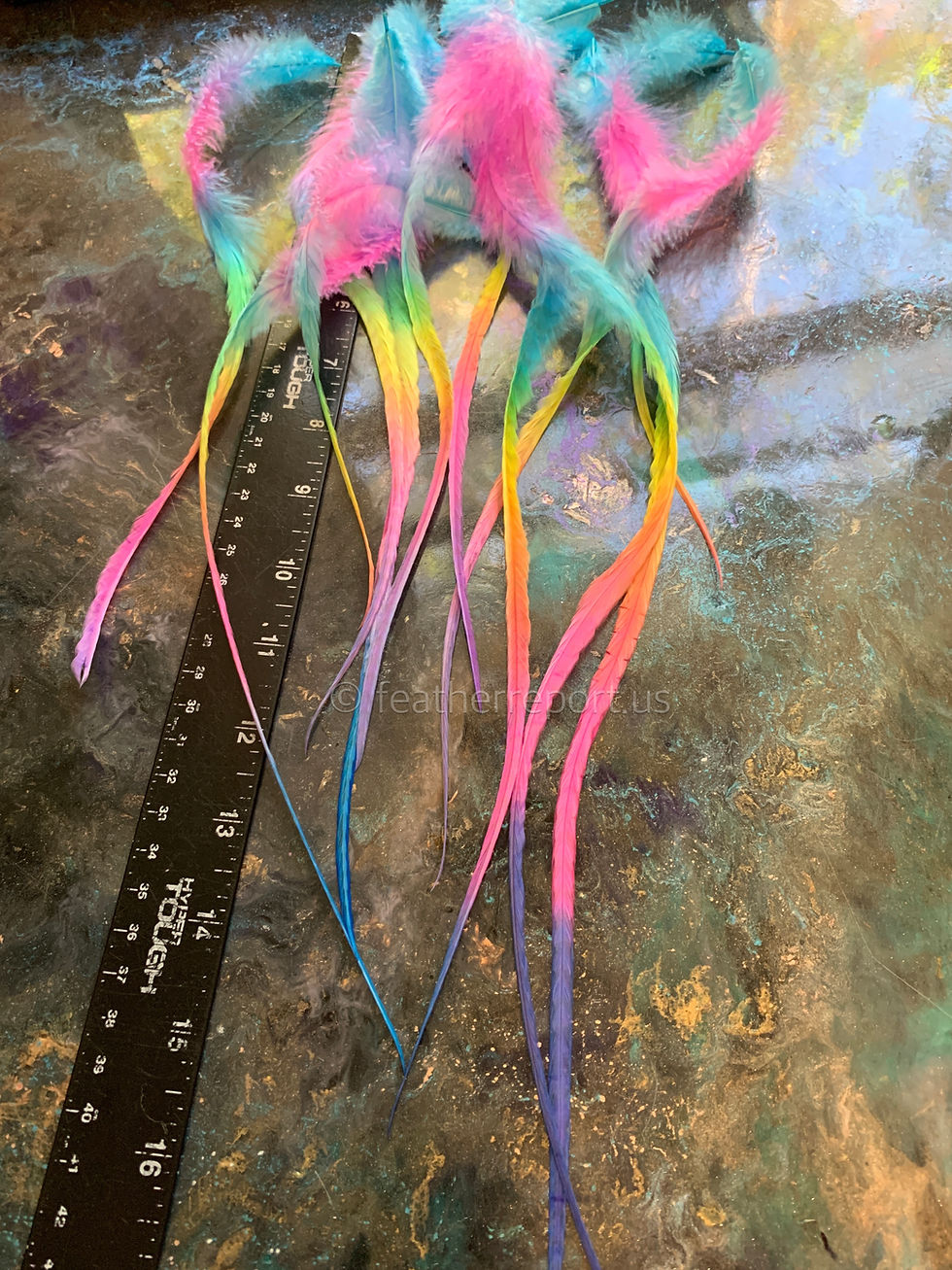 Long Fluffy Rainbow Rooster Craft Feathers 11to20inch