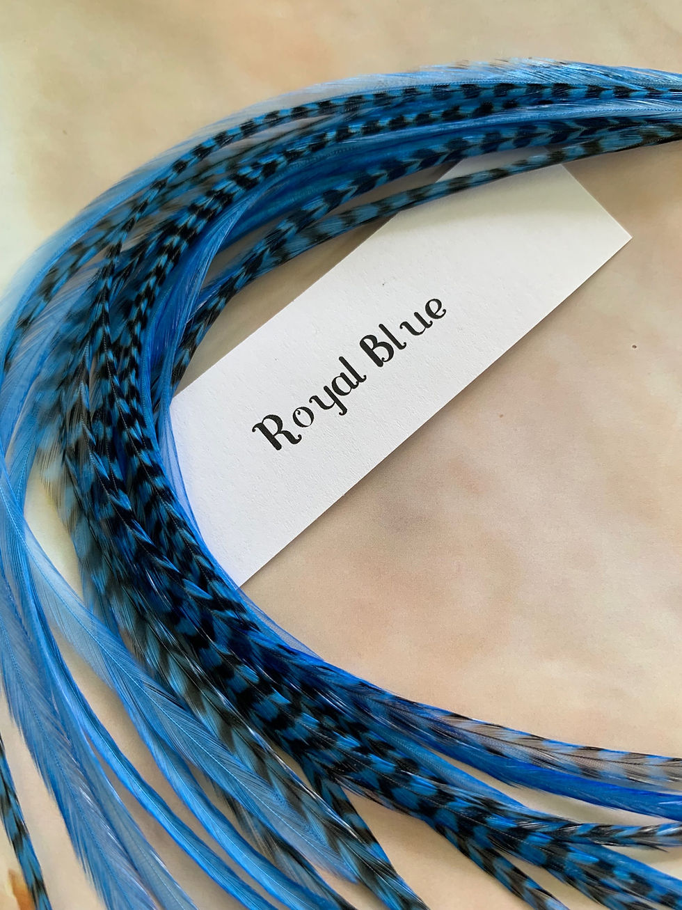 Thumbnail: real feather extensions 10 royal blue rooster feathers bohemian hair accessories