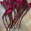 Thumbnail: Long Burgundy Grizzly Eurohackle Feathers with Fluff