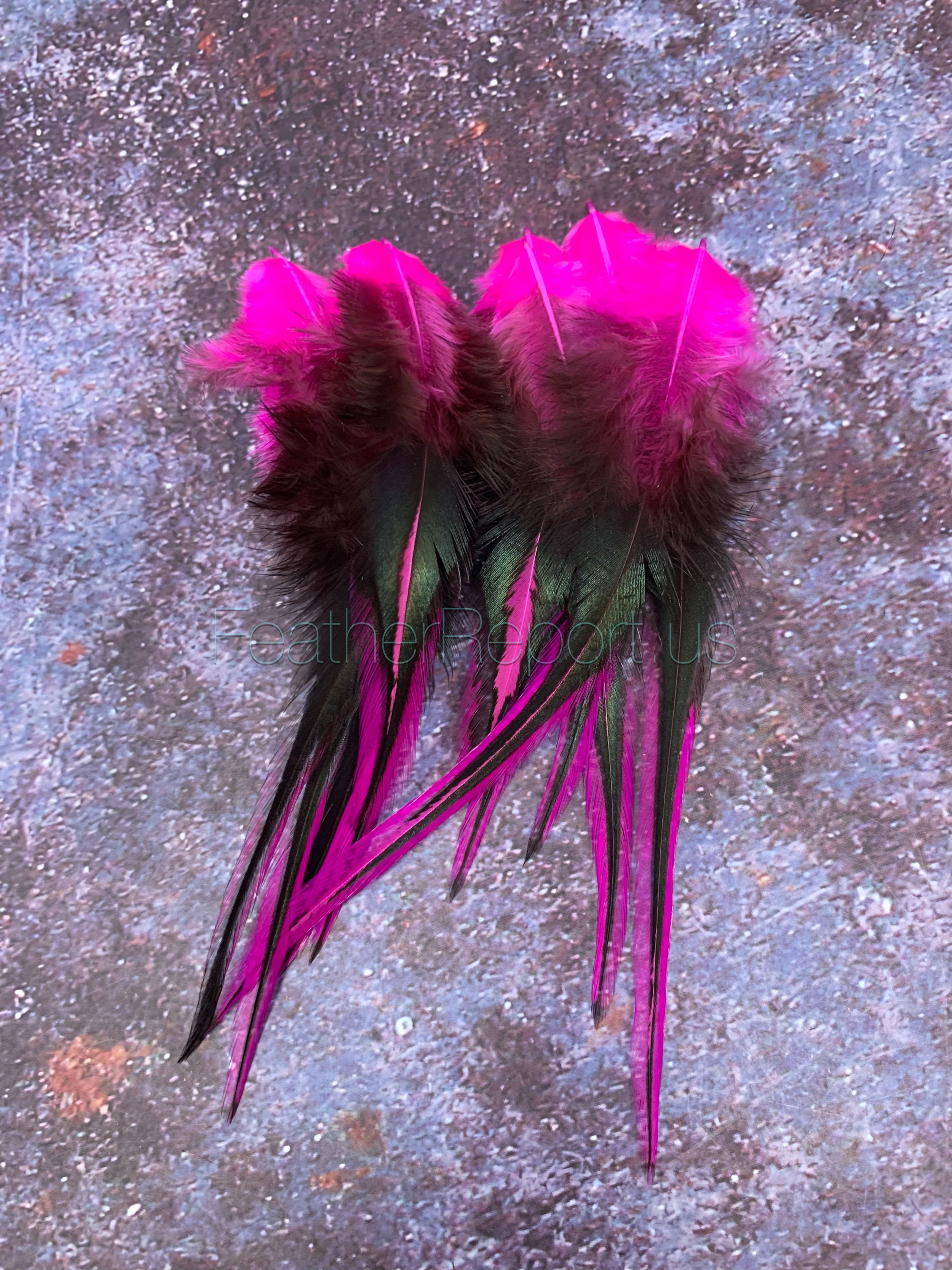 Hot Pink Feathers for Crafts Hat Feathers for Ladies Pet Accessories 12 per pack | feather-extensions
