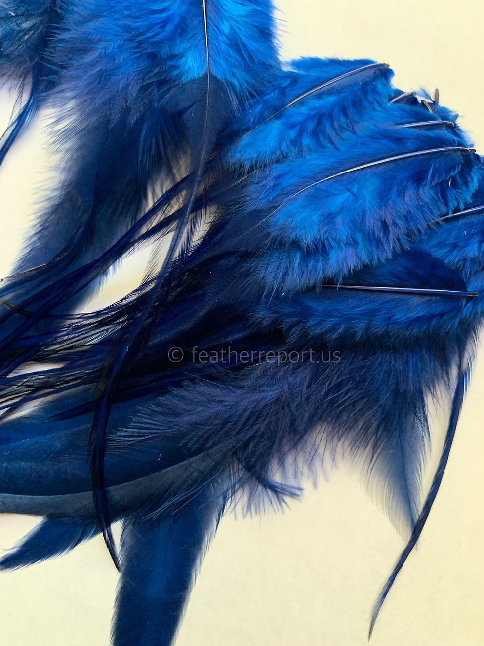 Thumbnail: Peacock Blue Rooster Feathers for Crafts Fluffy and Skinny