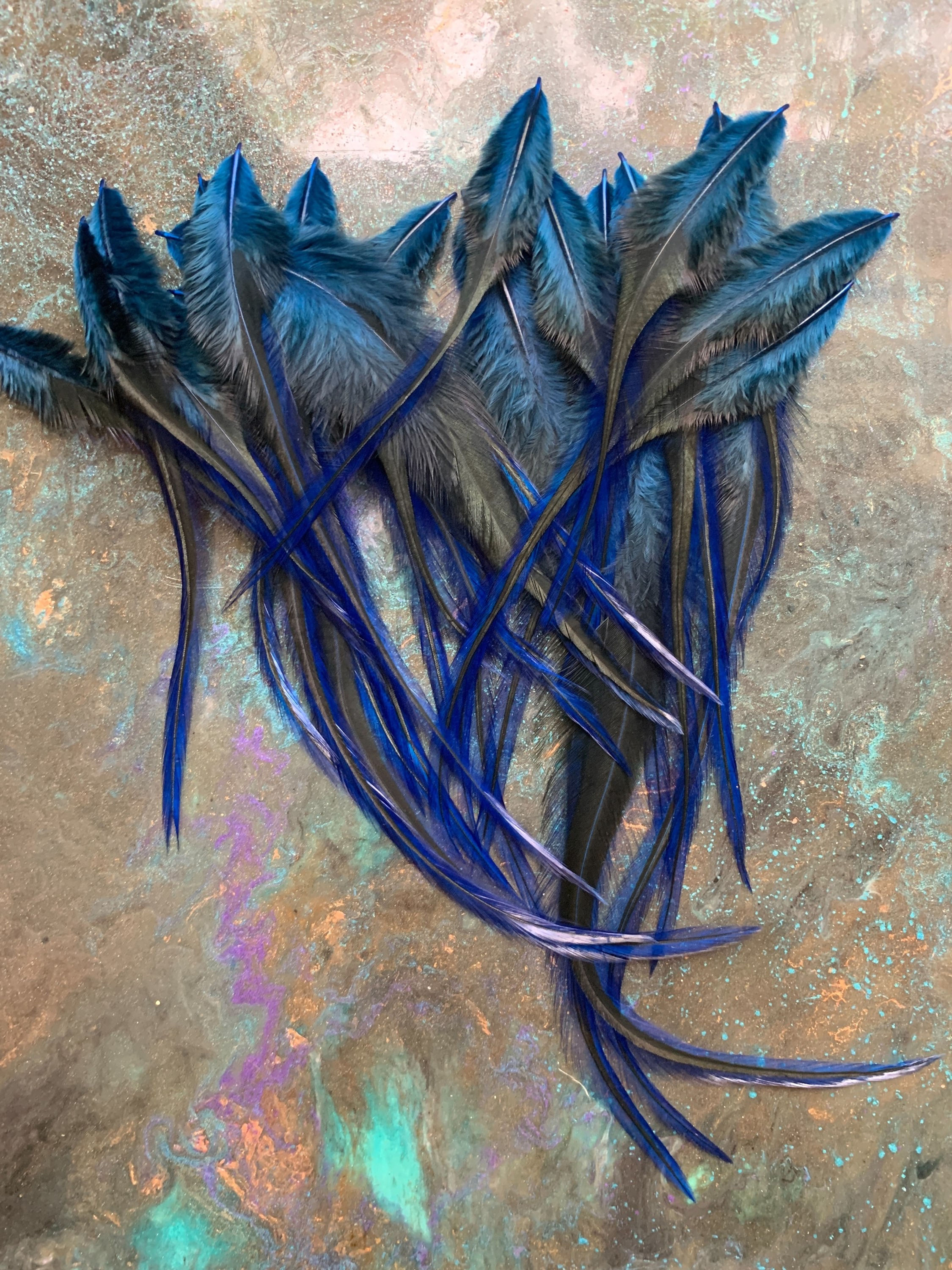 Peacock Blue Rooster Feathers Bulk Badger Pattern 30pcs