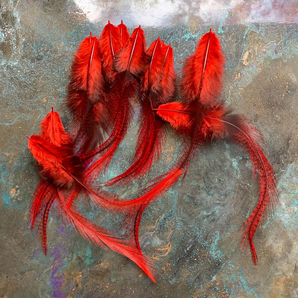 Thumbnail: red feathers mixed on a multi colored background