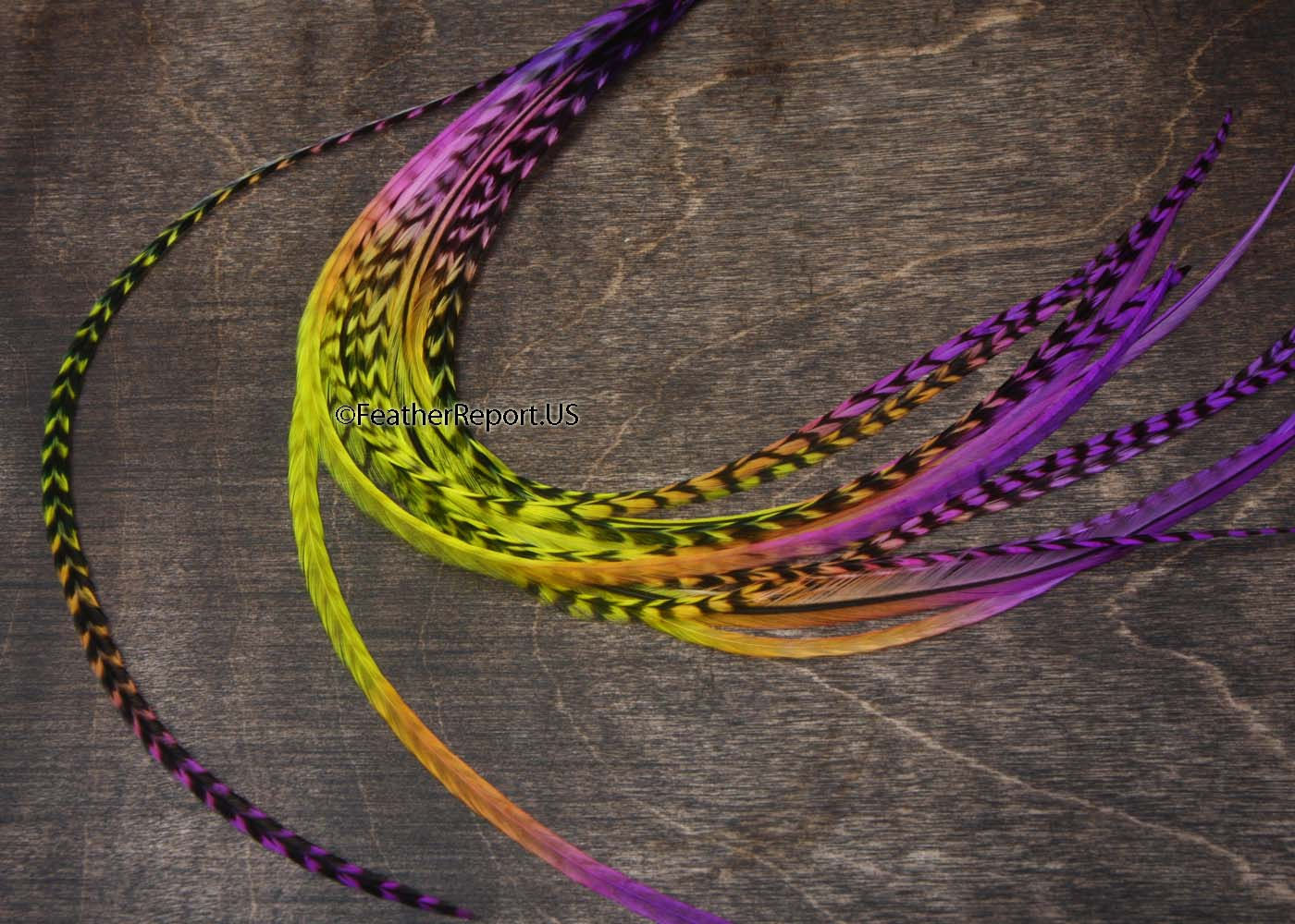 Purple Pink Yellow Hair Feather Extensions 20
