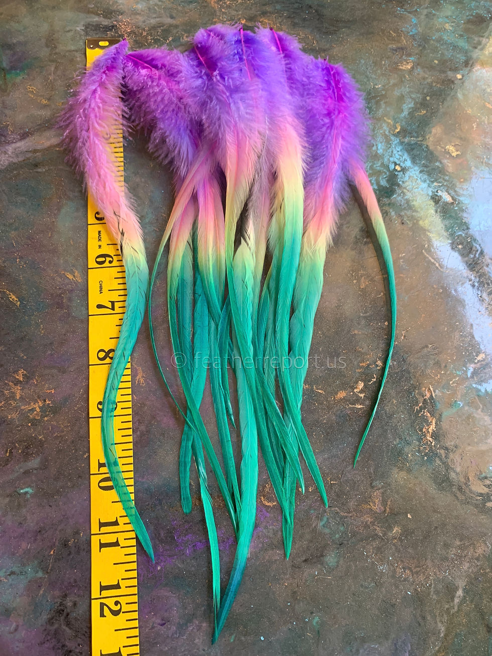 Thumbnail: Rainbow Rooster Feathers Long and Fluffy Aqua Baby Yellow Pink Purple