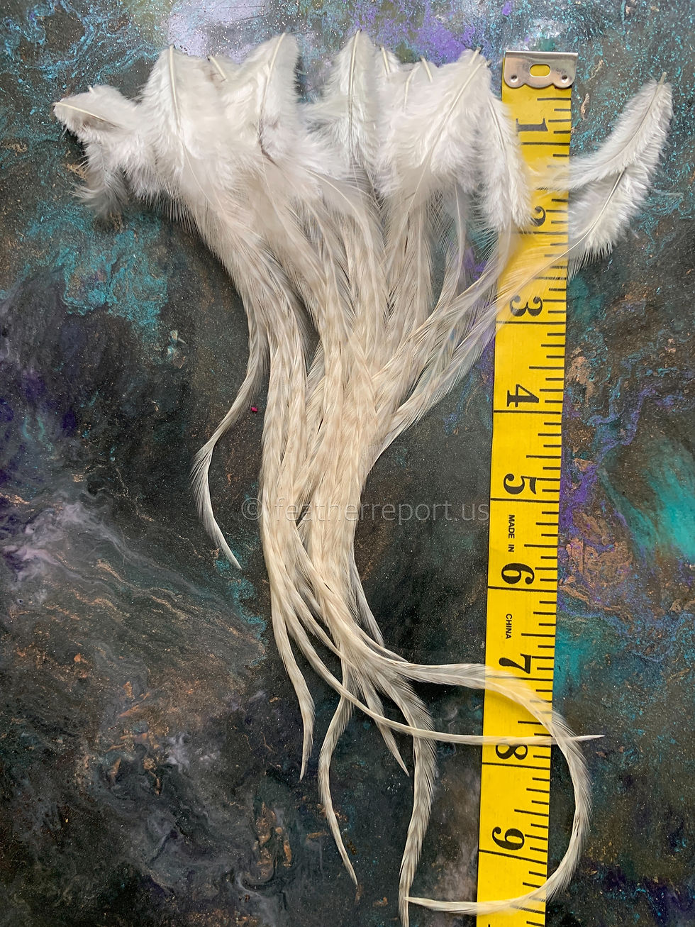 Thumbnail: White Craft Feathers DIY Wedding Supplies White Rooster Feathers