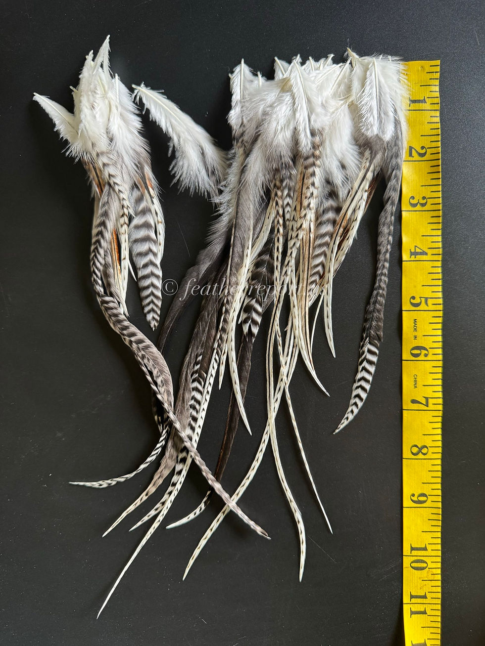 White Speckled Rooster Craft Feathers Soft Flexible Real Natural Feathers Bulk