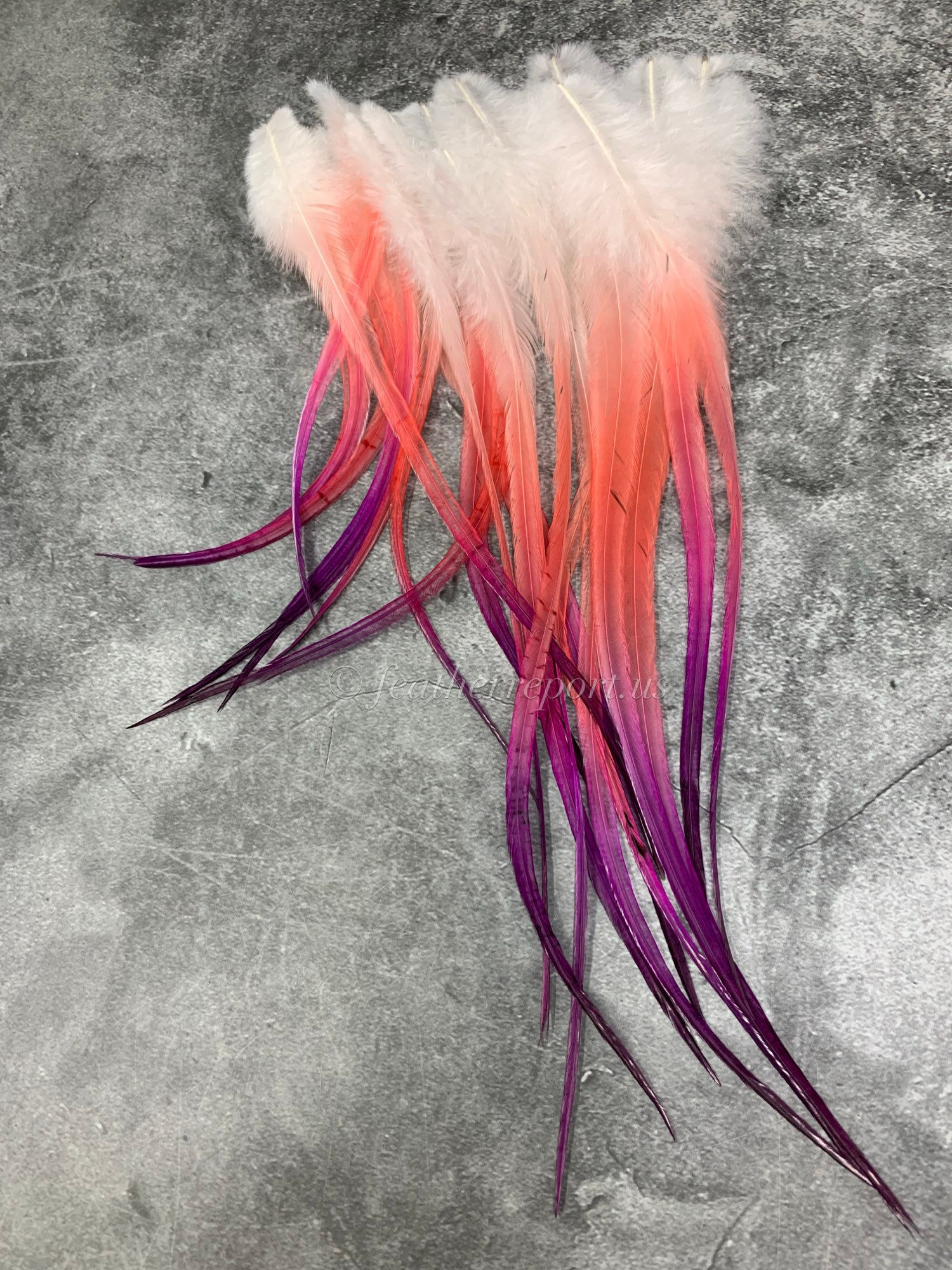 Ombre White Coral Purple Craft Feathers