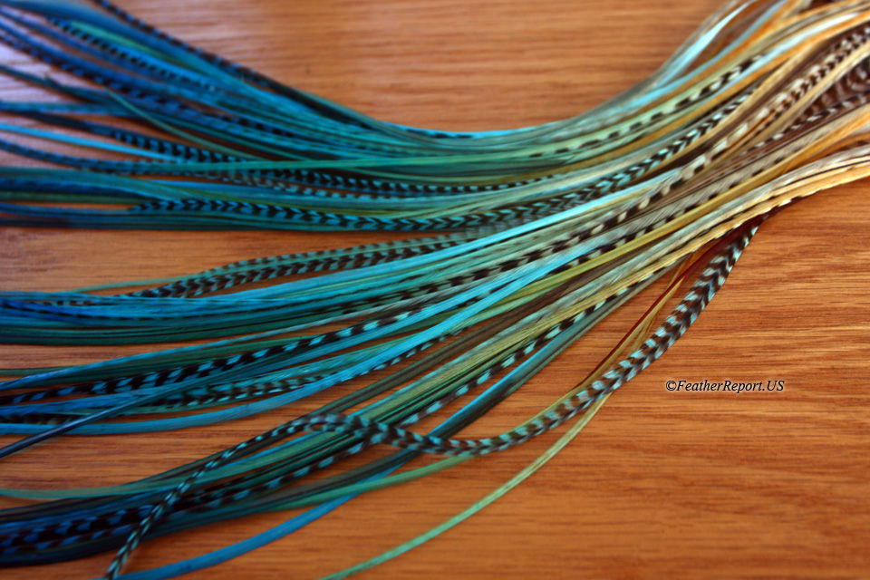 Thumbnail: Turquoise Blue Ombre Feather Hair Extensions 10pcs