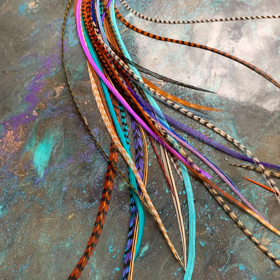 Turquoise Purple Brown Blues 8 to 16 inch Rooster Feather Hair Extensions 25