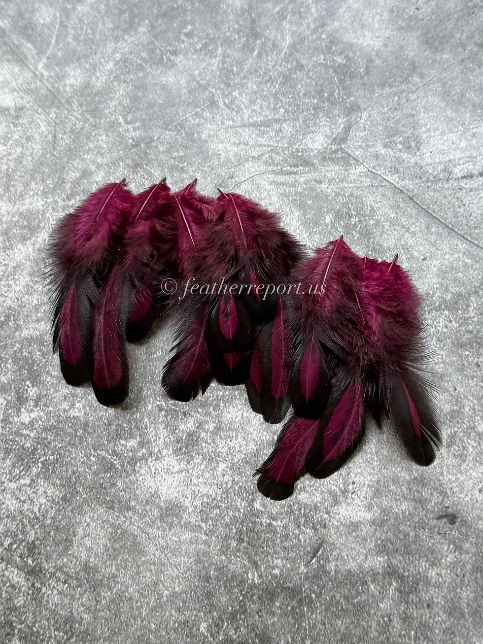 Cranberry Craft Feathers Laced Hen Saddle Small Oval Feather
