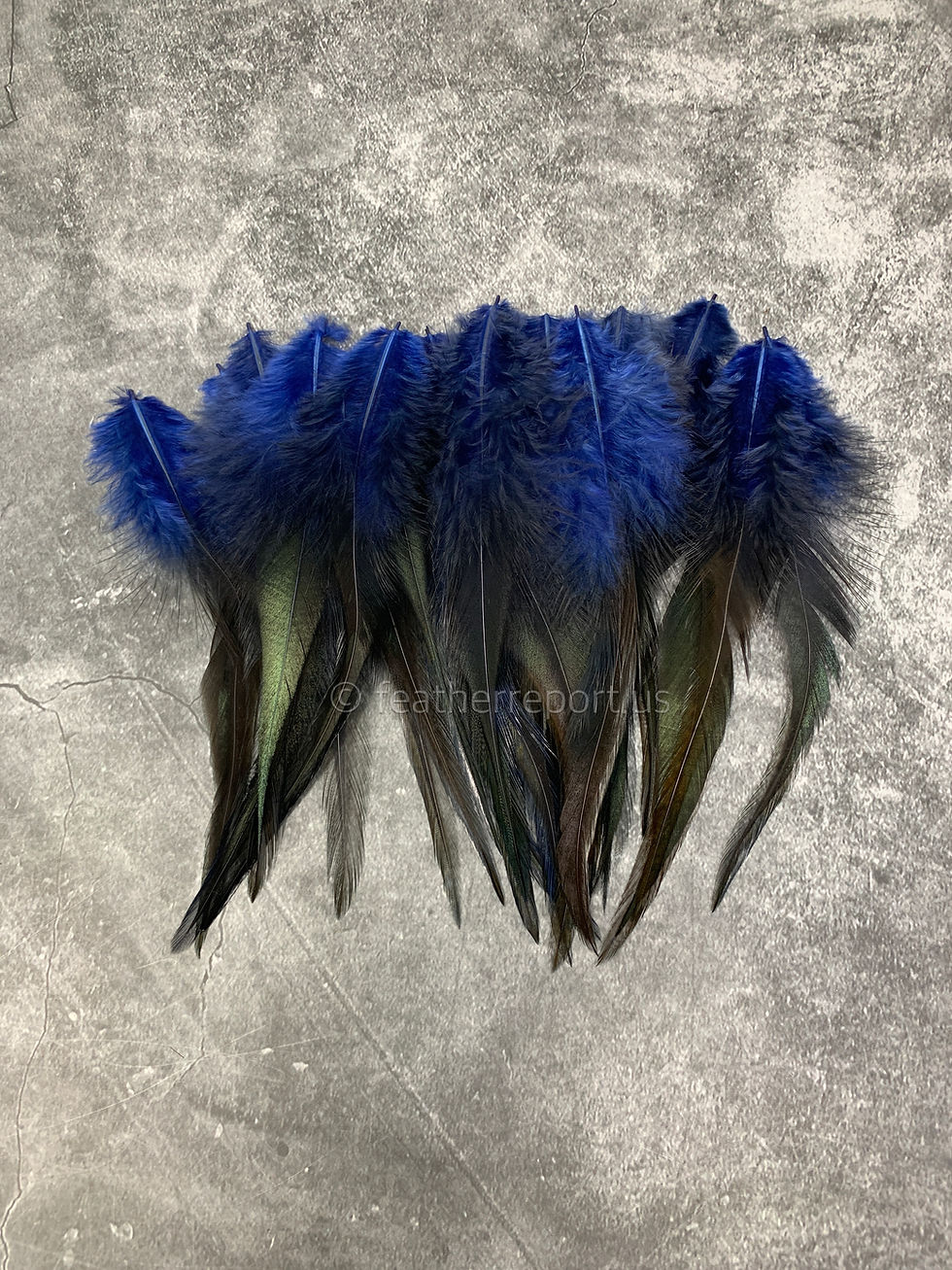 Thumbnail: Navy Blue Rooster Craft Saddle Feathers with Fluff 6”