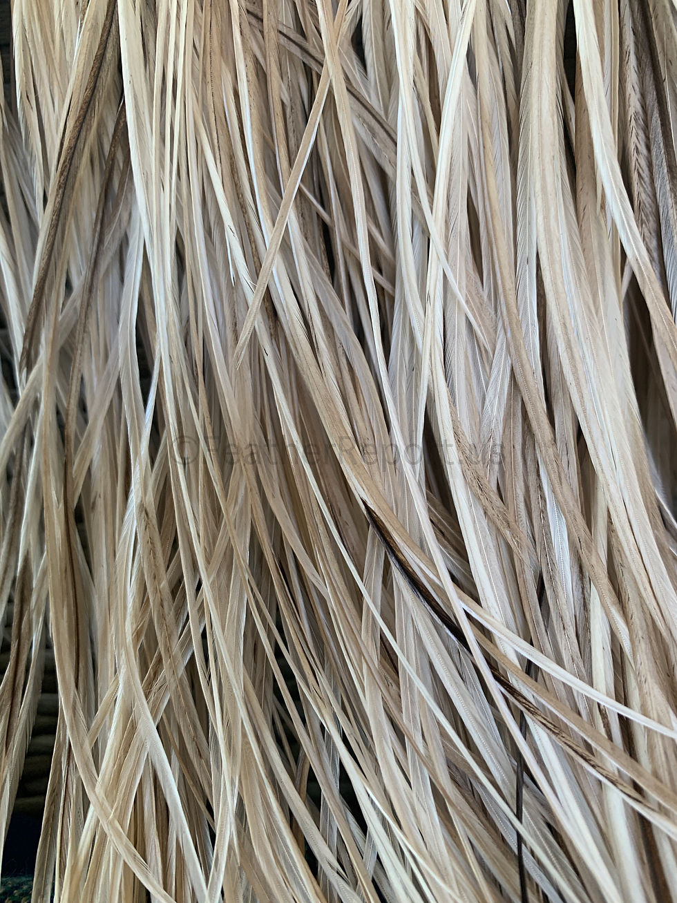 Thumbnail: 10 extra long natural gray hair feather extensions 14to17inch bundles