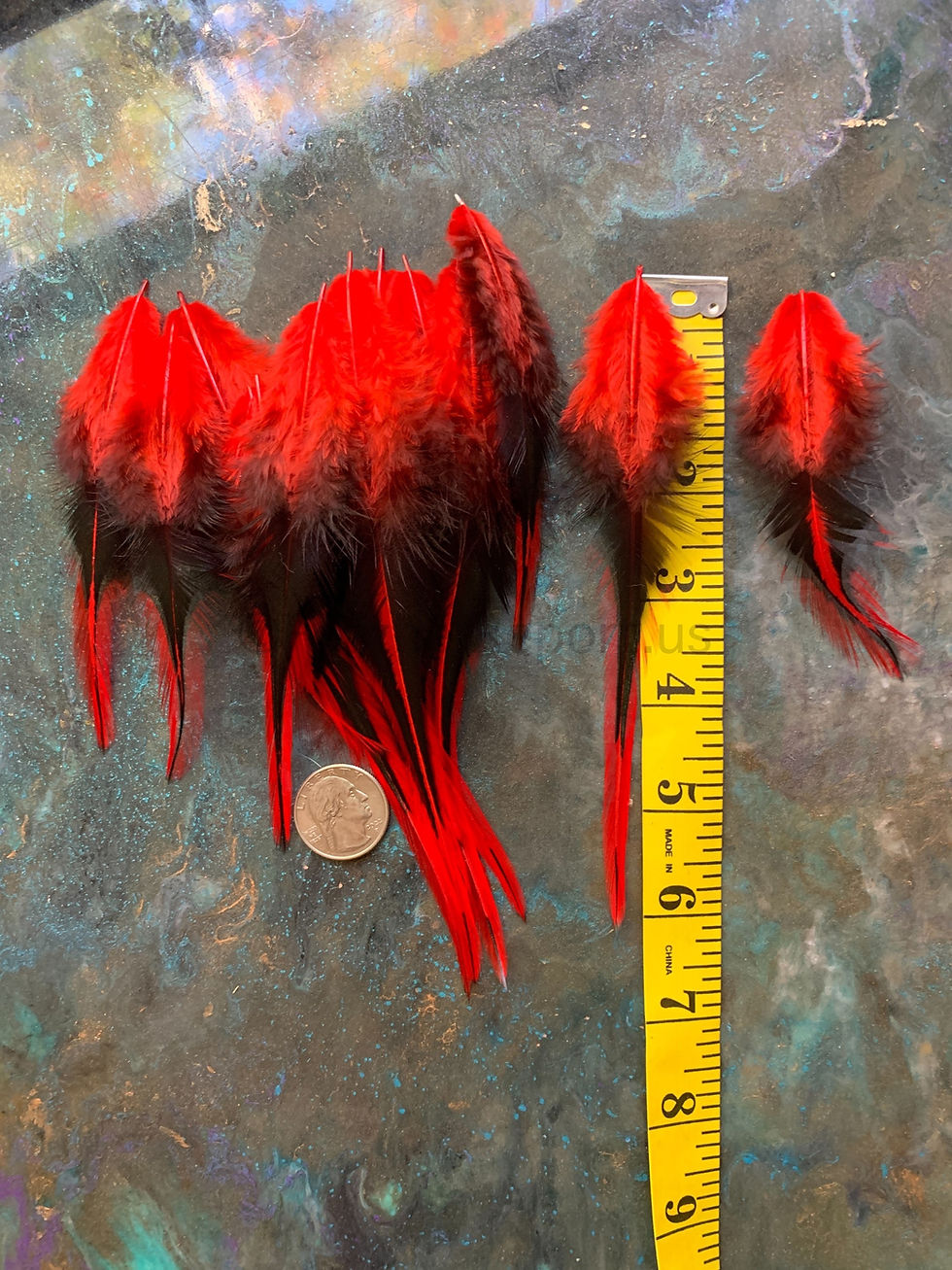 Thumbnail: Red Laced Rooster Saddle Feathers for Fishing x 15
