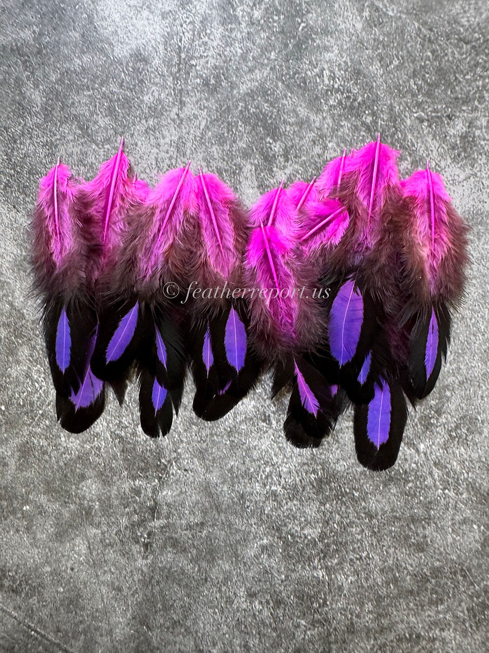 Oval Hen Craft Feathers Ombre Pink Purple