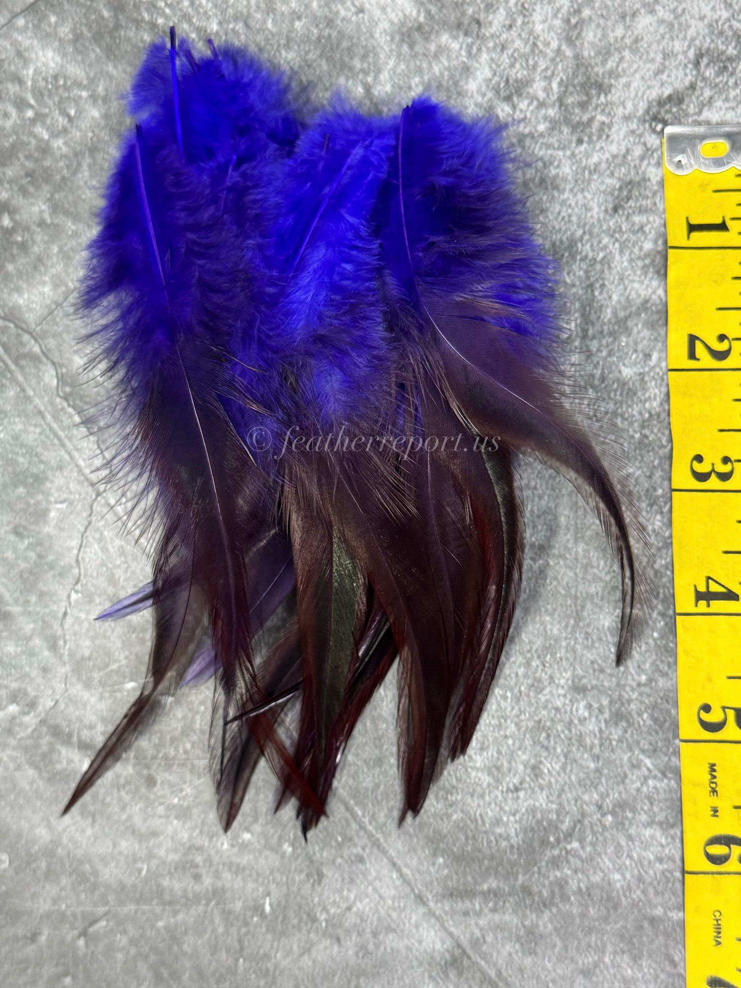 Violet Purple Rooster Saddle Feathers for Crafts Dyed over Brown