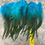 Thumbnail: Turquoise Blue Fluffy Rooster Feathers for Crafts x25