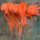 Thumbnail: Bulk Rooster Feathers - Deep Orange - Ready2Ship