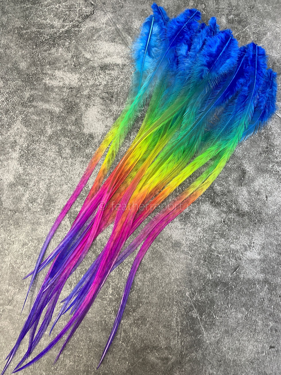 Rainbow Rooster Feathers Hair Extensions 11to15inch Long WYSIWYG