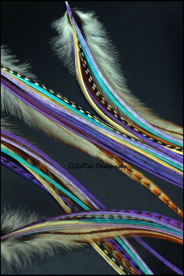 Thumbnail: Fuzzy and Skinny Bonded Feather Extension Kit