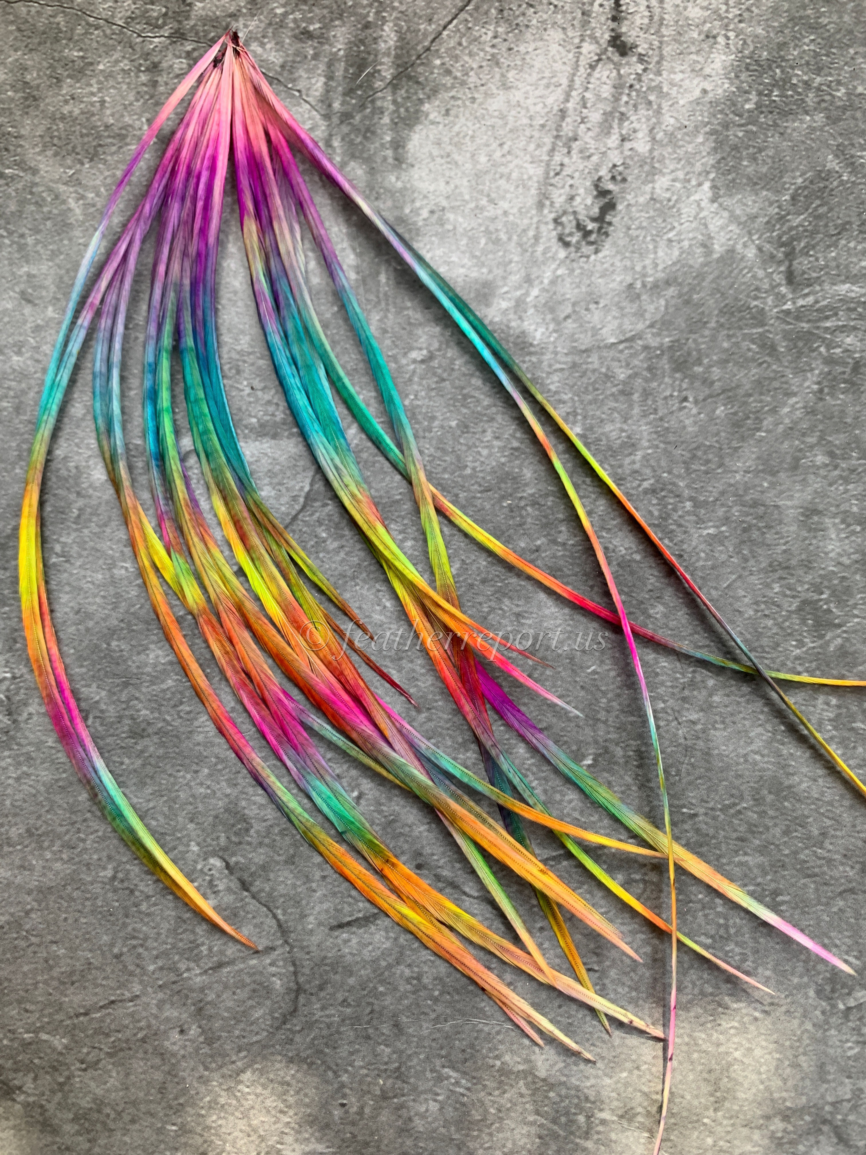 rainbow feather hair extensions - technicolor tide