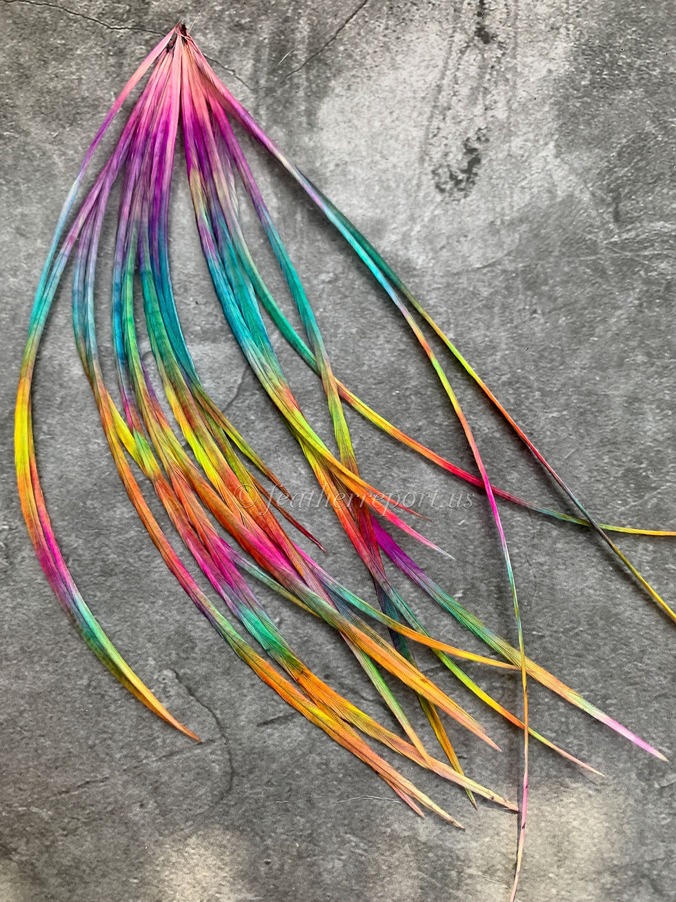 Thumbnail: rainbow feather hair extensions - technicolor tide