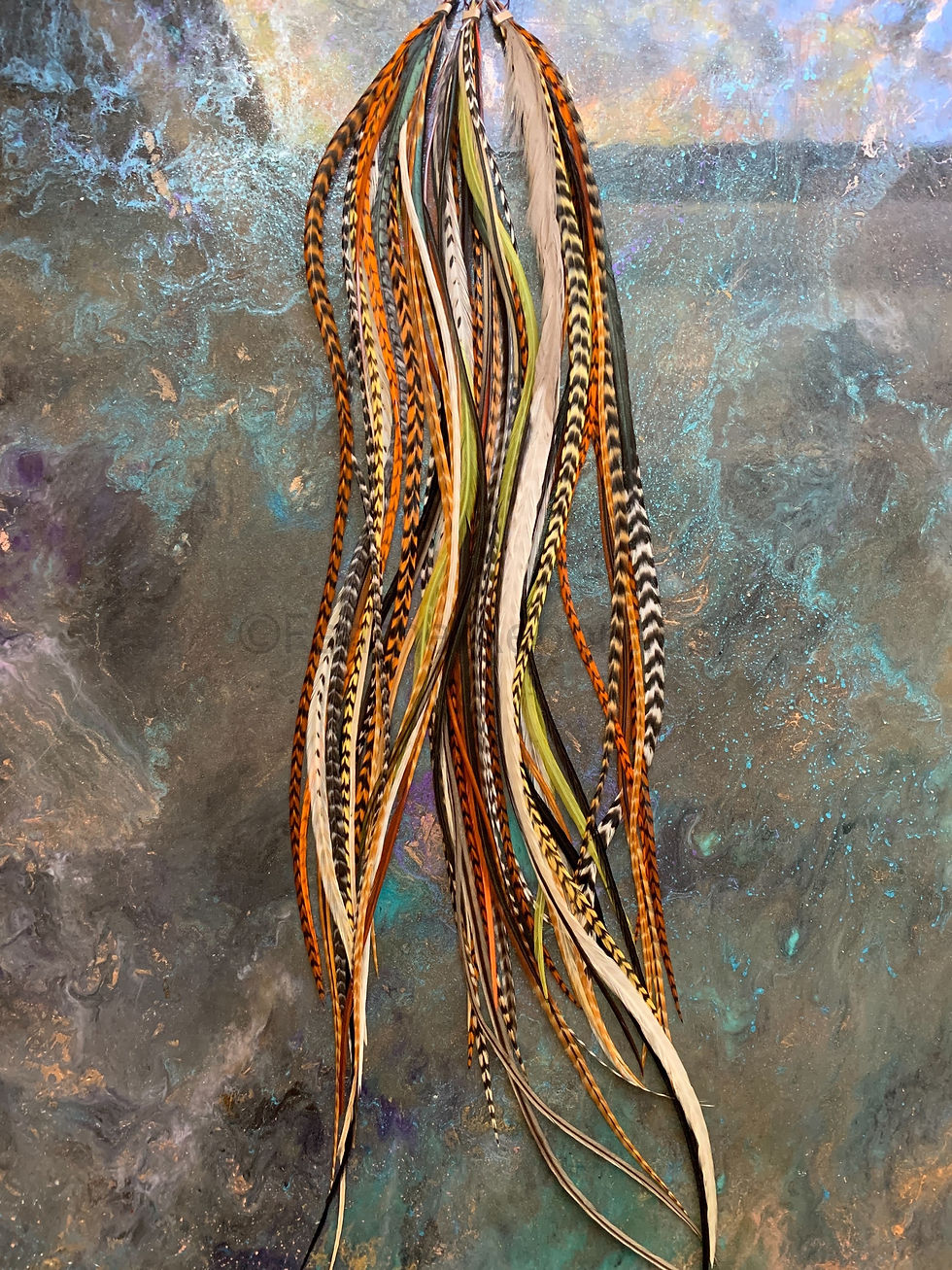 Thumbnail: Extremely Long Natural Hair Feathers Bulk Pack 14 to 18 inch Natural Colors