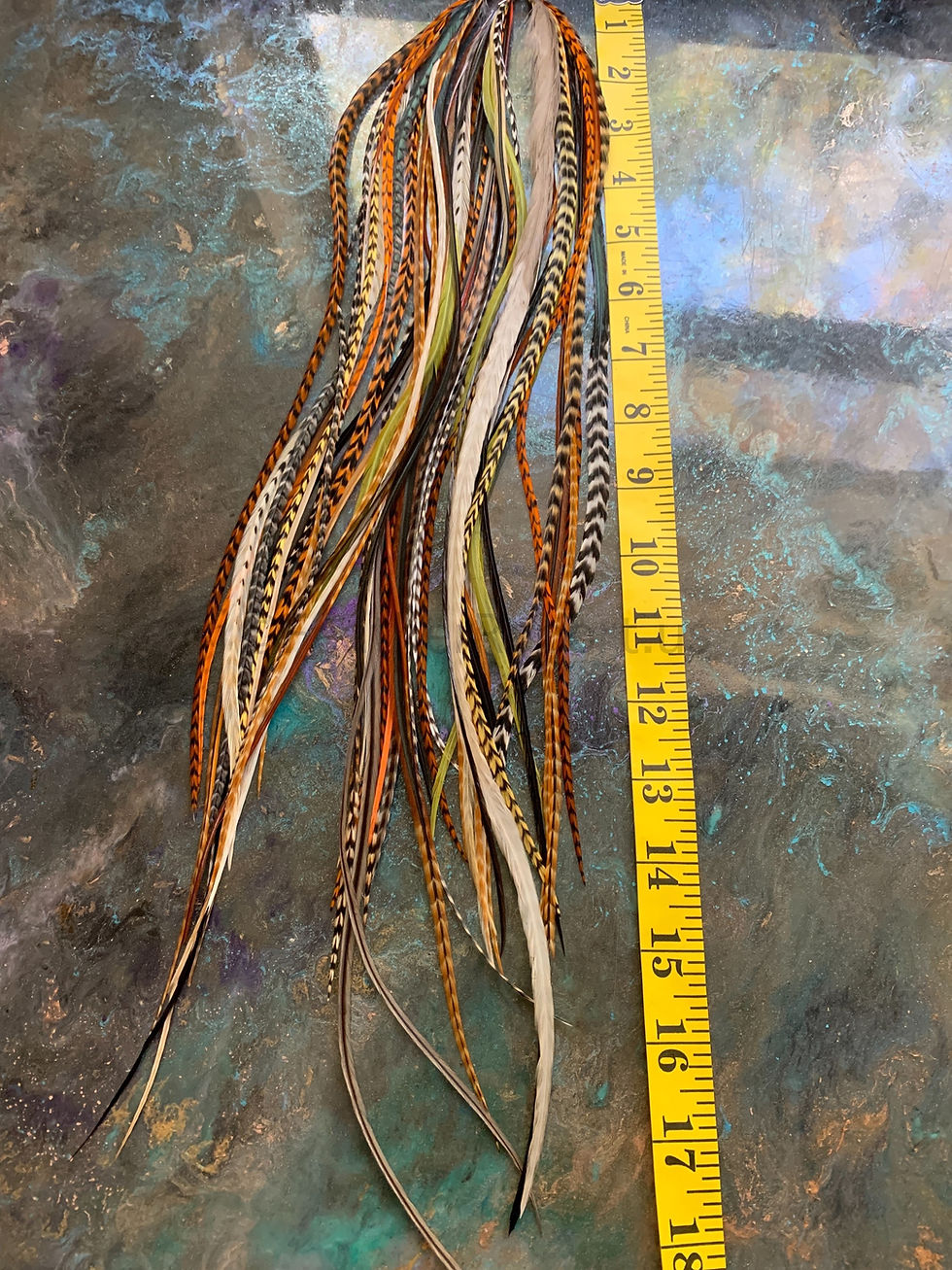 Thumbnail: Extremely Long Natural Hair Feathers Bulk Pack 14 to 18 inch Natural Colors