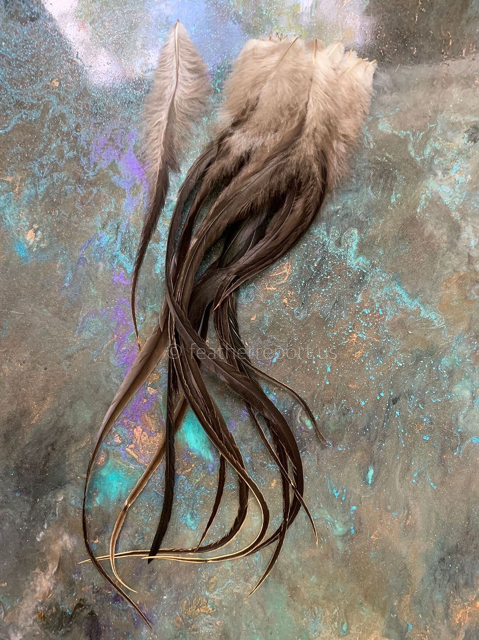 Thumbnail: Long Badger Rooster Feathers for Crafts Natural Feather 20 7to15inch