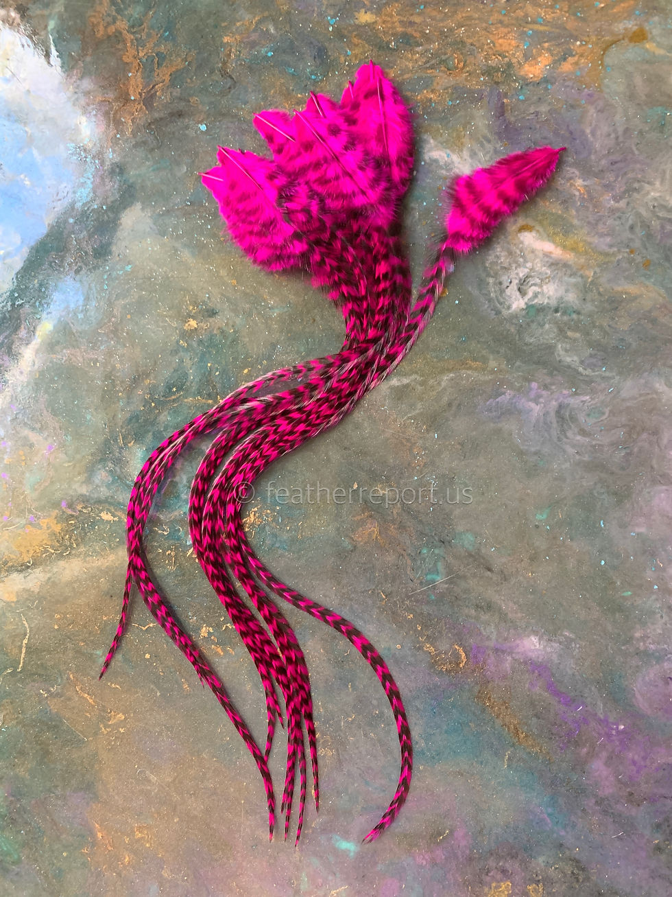 vivid pink grizzly rooster feathers long craft feathers x15