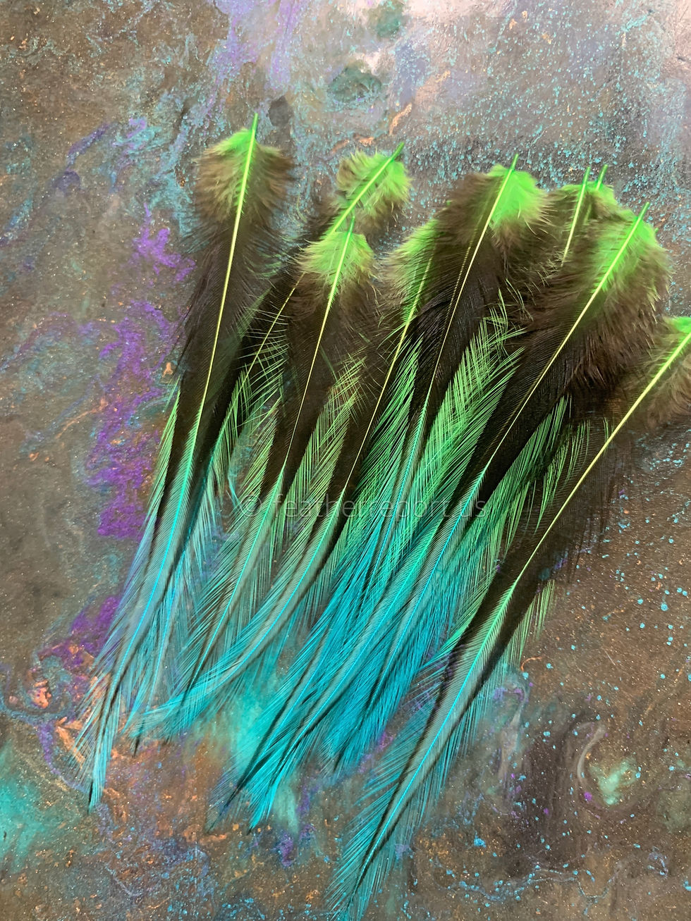 Thumbnail: Lime Green Turquoise Ombre Craft Rooster Cape Feathers
