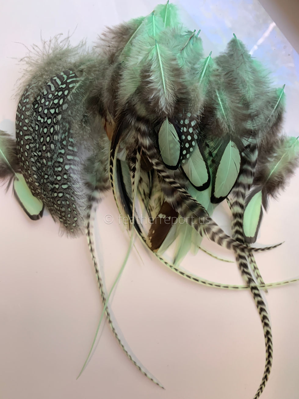 Mint Green Bulk Feathers for Accessories Hair Crafts Quality Real Chicken Lot