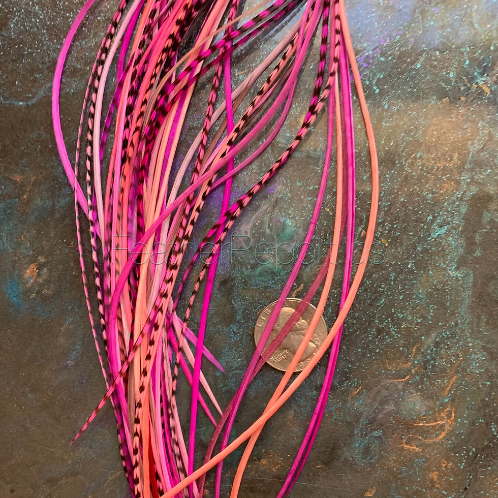 Thumbnail: Super thin pink hair feathers bulk pack 50 grizzly solid hot pink ballerina