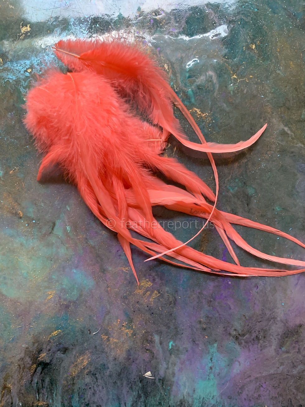 Thumbnail: Bright Coral Long Fluffy Rooster Craft Feathers
