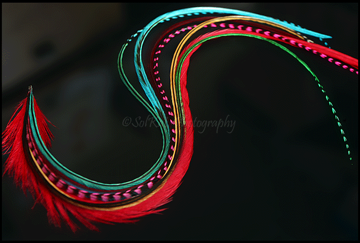 Thumbnail: Emerald Teal Red Bonded Hair Feathers Long Fluffy