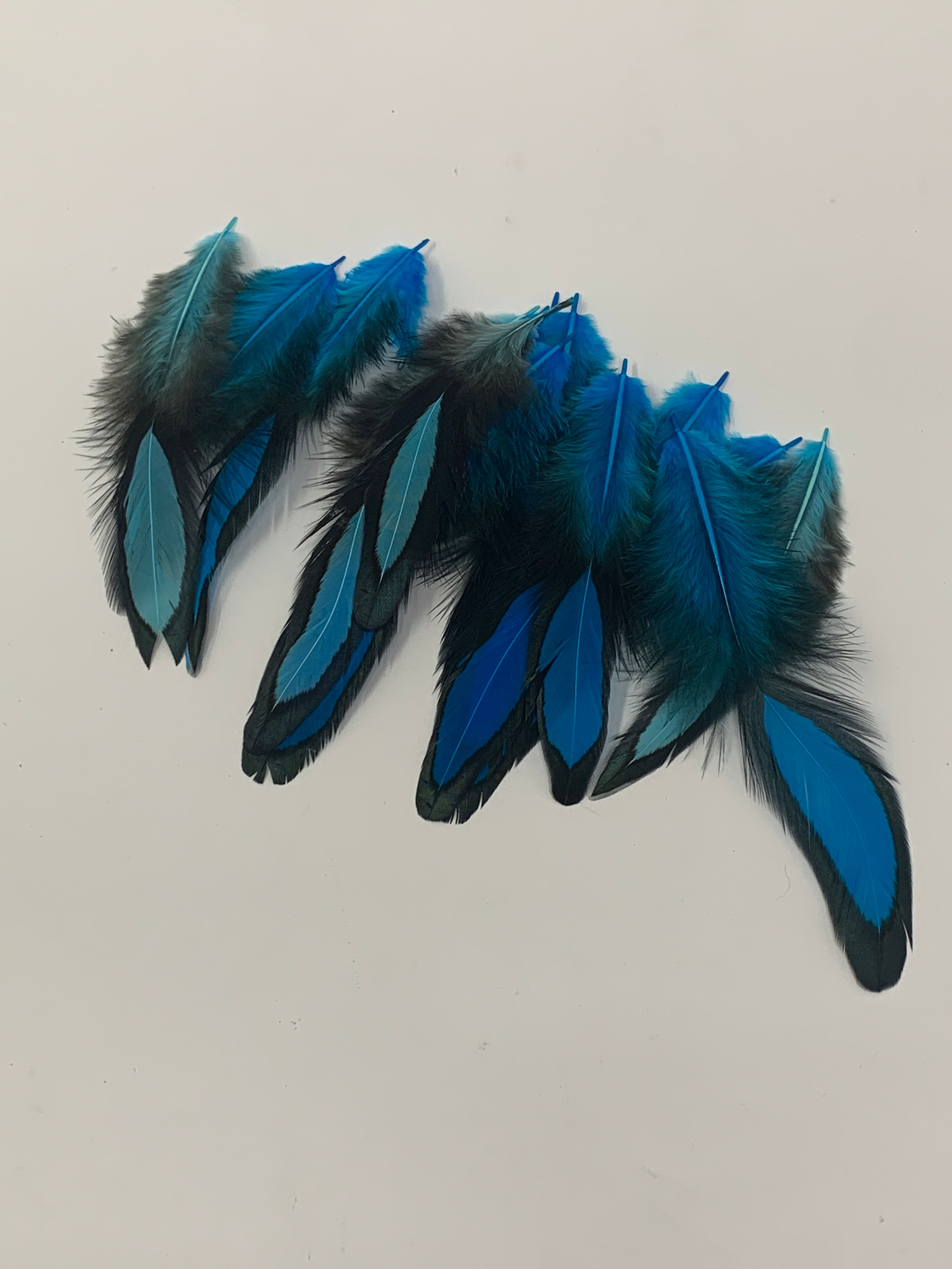 Discount Craft feathers lot 5 blue laced 14 pcs