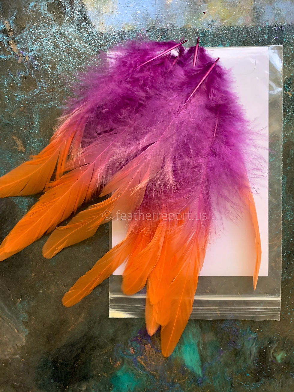 Thumbnail: Purple/Orange Rooster Feathers
