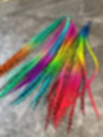 Bulk Short Rainbow Earring Feathers or Feather Extensions 89